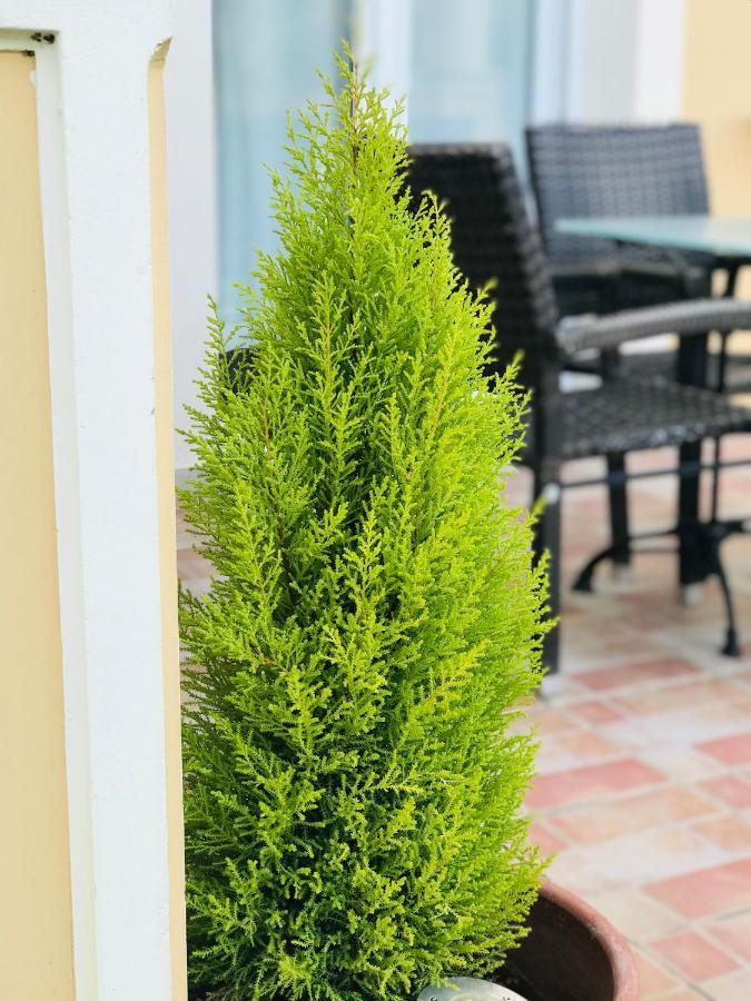 רודה L'Eremo Luxury Apartments מראה חיצוני תמונה